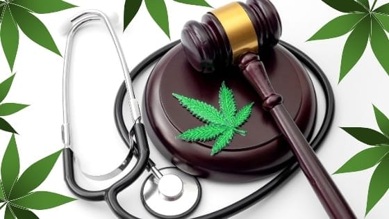 Medical Marijuana United States and Florida Get Info